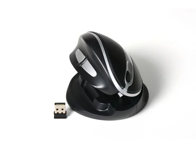 Mus Ergonomisk OYSTER Standard Trådlös Endast idag