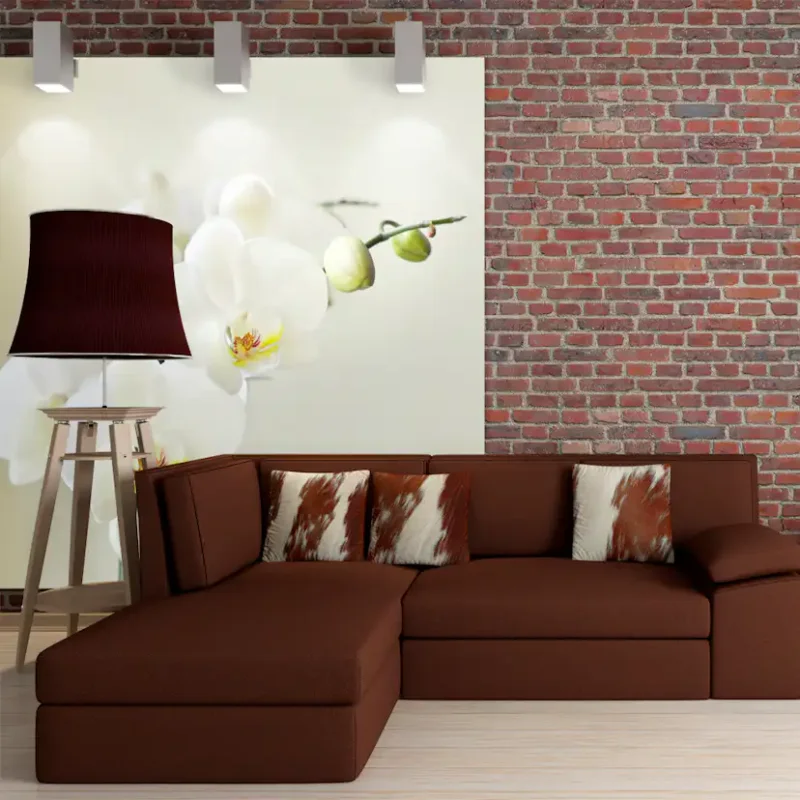 Begränsat antal Fototapet Arkiio OrchidwhiteStorlek: 400x309 cm
