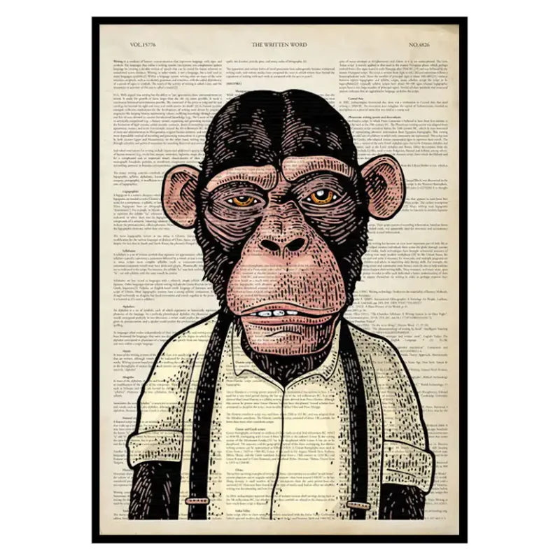 Poster Gallerix The Chimpanzee Extra rabatt