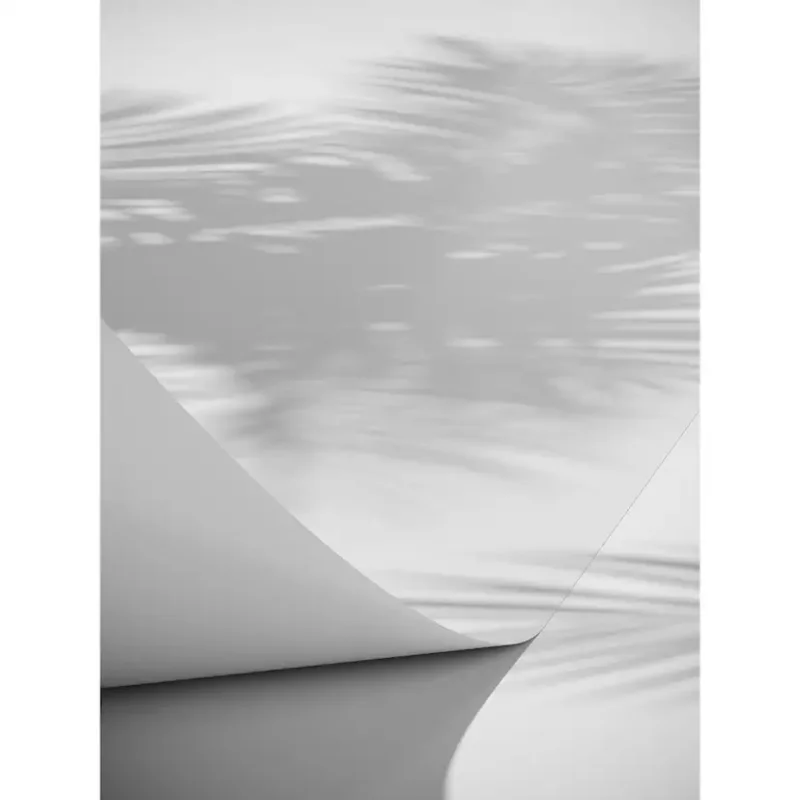 Posters Venture Home Papyrus 50x70 Vit70x100 cm Kampanj