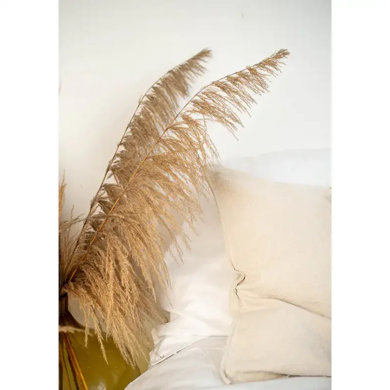Sänkt pris Posters Venture Home Bohemian Beige