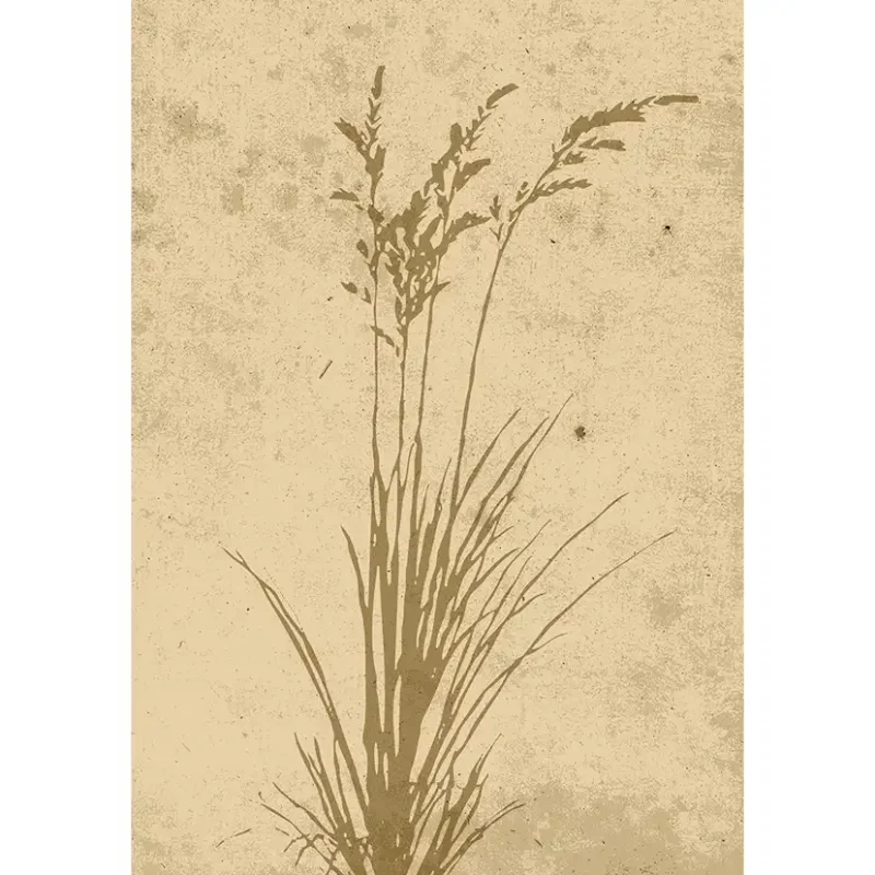 Sänkt pris Posters Venture Home Plant Art Beige