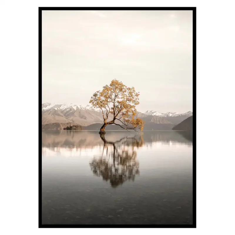 Poster Gallerix The Lonely TreeStorlek: 30x40 cm Populär