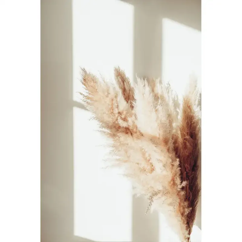 Erbjudande Posters Venture Home Pampas Beige30x40 cm