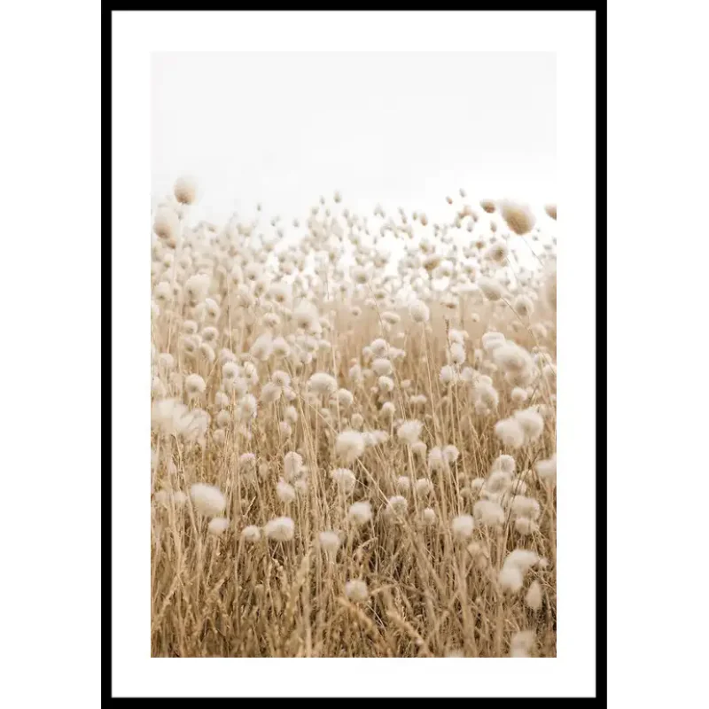 Poster Gallerix Whispering Meadow Breeze Endast denna vecka